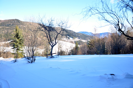 tl_files/shiatsu/Bilder/shiatsu-therapie-wasser.JPG